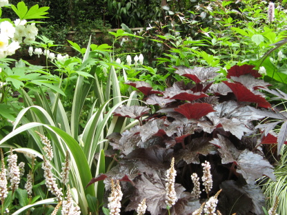 Chelsea Flower Show